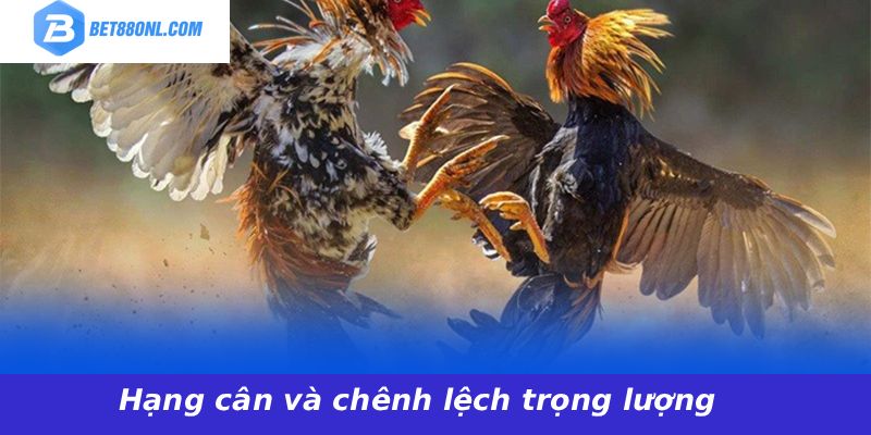 Hạng cân và chênh lệch trọng lượng